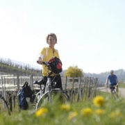 E-Bike Verleih