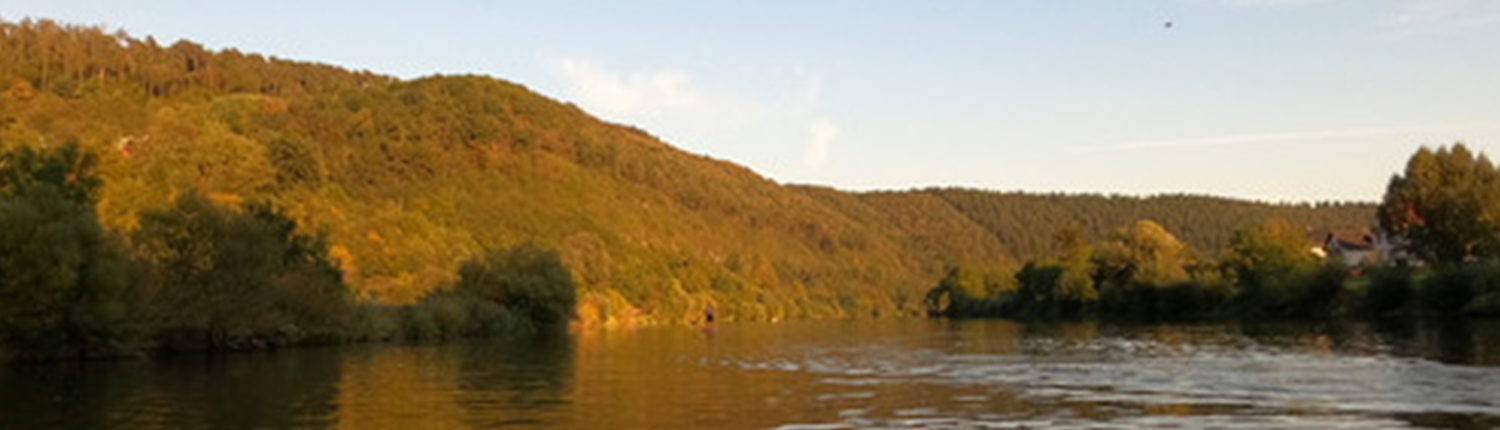 Flusslandschaft am Neckar